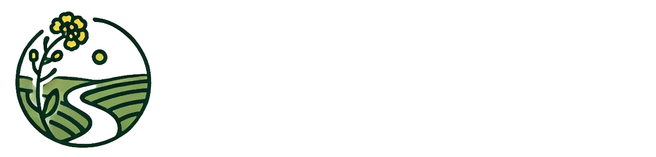 raizaje.com