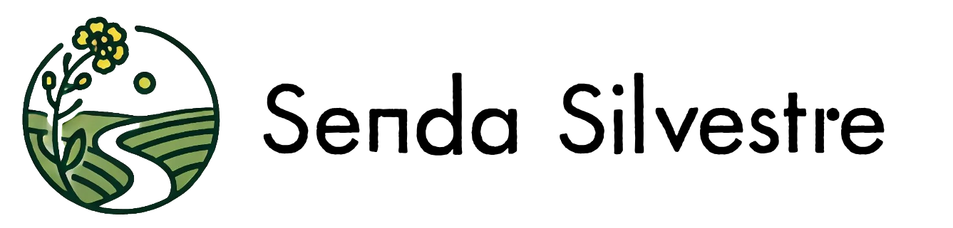 raizaje.com